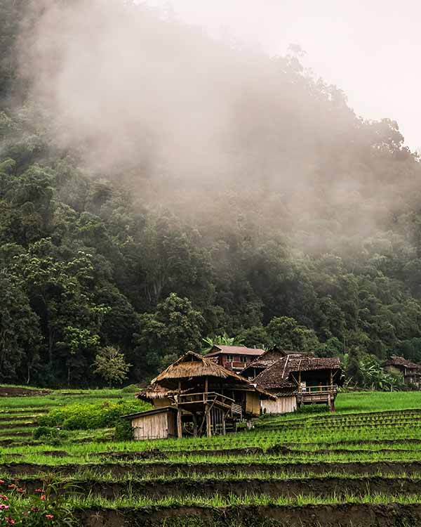 Chiang Mai